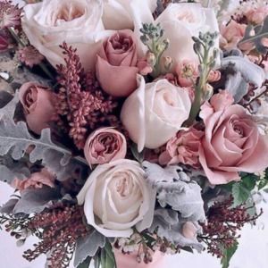 Meet your Posher, Charlie